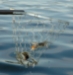 Chesapeake Crabbing Kit - 096337667641