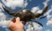 Kayaking Fishing & Crabbing Trips - 