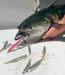 Hogy Fishing Lures - 