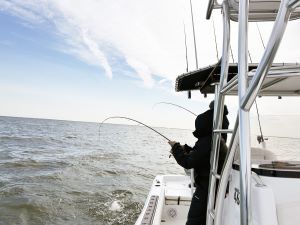 JLS Chesapeake fishing rods