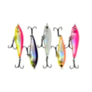 Darters
