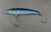 Rapala Saltwater X-Rap Series - RTM - SXRT12