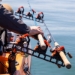 YakAttack SideStage Rod Racks - RHM-1007