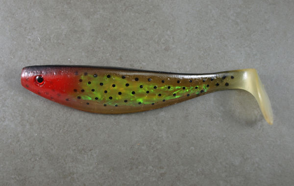 Sea Trout