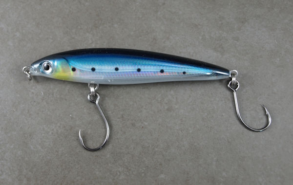 Blue Sardine