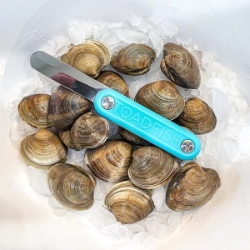 Toadfish Clam Knife Toadfish Clam Knife, Clam Shucker, Stainless Steel Clam Knife, Clam Opener, Clamming Tool, 440SS Clam Knife, Full Tang Clam Knife, Rust-Resistant Clam Knife, Tackle Cove