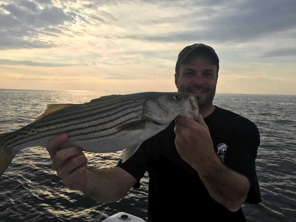 Saltwater Topwater Plug Kit saltwater topwater lures, striper fishing kit, redfish topwater baits, rockfish lures, speckled trout topwater, inshore fishing lure bundle, walking the dog lures, saltwater popper kit