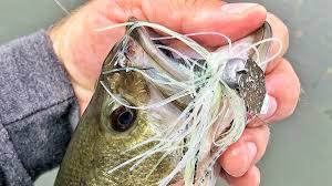 Z-Man Freshwater Fishing Lures Z-Man Freshwater Lures, Z-Man ChatterBaits, Z-Man Bass Lures, ElaZtech Lures, ChatterBait, Z-Man GOAT, Freshwater fishing baits, Tackle Cove