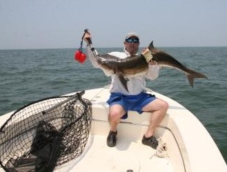 Cobia & Sheepshead Jigs